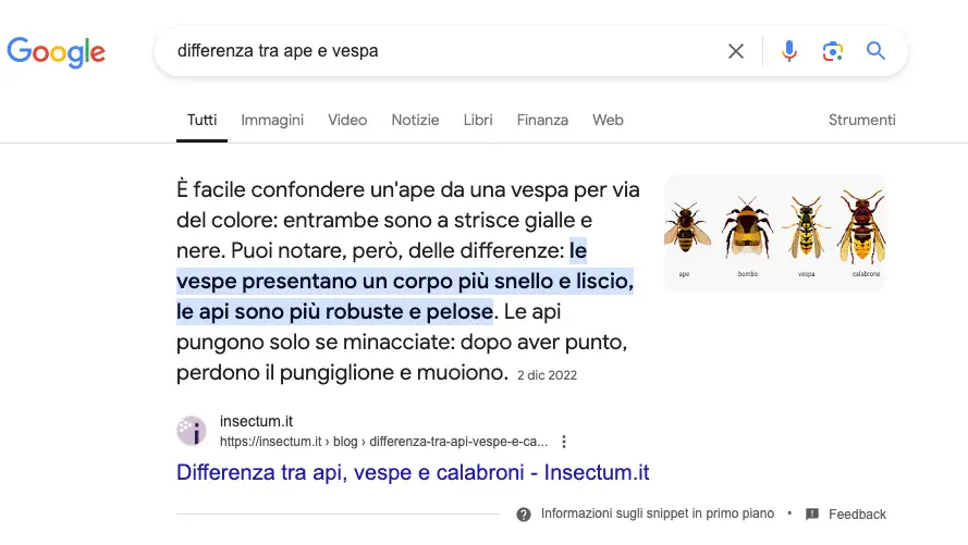 Identificazione dei Featured Snippets: Come Identificare e Ottimizzare per i Featured Snippets